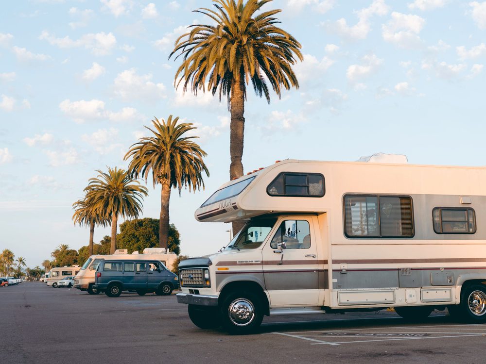 A large Class C motorhome parked side-on beneath palm trees